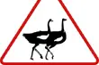 Dziewiąta edycja akcji 