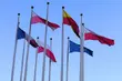 Sprawdź zadania maturalne z WOSu i innych przedmiotów - ARKUSZE 2013