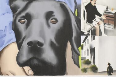 Sfotografuj swojego zwierzaka. Twoje zdjęcia znajdą się na wystawie 