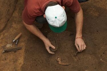 Szczątki kości znalezione w Domu Turka mogą być ludzkie