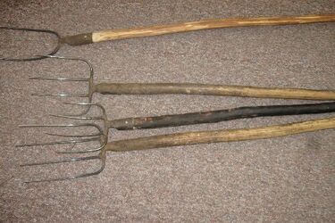 Cała rodzina z widłami napadła na rolnika. Mężczyzna trafił do szpitala