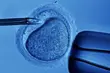 Białostockie kliniki w rządowym programie in vitro