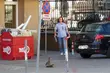 Zagubiona kacza rodzina w centrum miasta