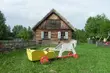 Piknik w Białostockim Muzeum Wsi