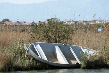 Nocna akcja na jeziorze. Z przewróconej łodzi uratowano dwóch mężczyzn