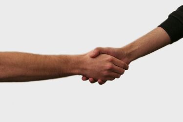 Jak wygląda współpraca organizacji pozarządowych z urzędnikami?