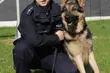 Podlaska policja poszukuje psów do tresury