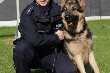 Podlaska policja poszukuje psów do tresury