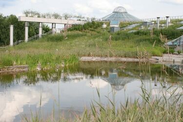 Naturalna biżuteria i joga na trawie. Zapisz się na ekologiczne warsztaty