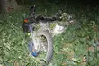 Motocykl uderzył w drzewo. 20-latek zmarł w szpitalu