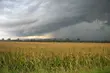 Duże zachmurzenie i burza – pogoda na dziś