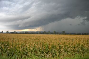 Duże zachmurzenie i burza – pogoda na dziś