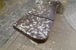 Nie dokarmiajmy gołębi latem - apelują specjaliści