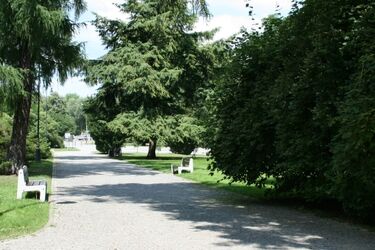 Na kocu, na leżaku. W wakacje możesz poczytać książki w parku