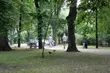 Joga w parku dla każdego. Po prostu przyjdź!