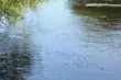 Kolejna ofiara wody. W stawie utonął 79-latek