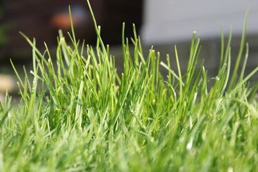 Pogoda na weekend: ciepło, ale wietrznie