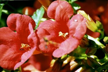 Pogoda na dziś: nadal gorąco, ale burzowo