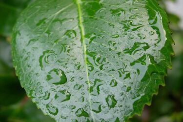 Ciepło, ale może pokropić deszcz - pogoda na dziś