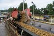 Podlaska firma zatrudni ponad 150 pracowników