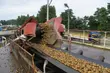 Podlaska firma zatrudni ponad 150 pracowników