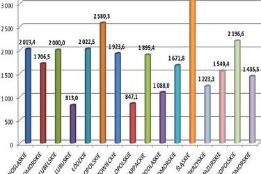 Ile ich dostaniemy i na co pójdą europieniądze