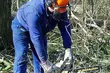 Trwa rekrutacja na bezpłatne szkolenia. Pilarz-drwal oraz operator wózków jezdniowych