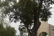 Białystok w akcji 