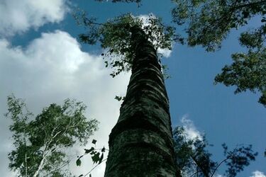 Sfotografuj podlaską przyrodę. Możesz wygrać atrakcyjne nagrody