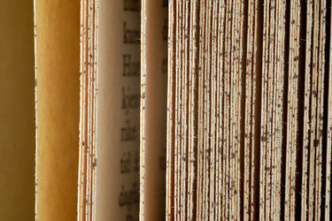 Christie zamiast Mickiewicza? Zmiany w kanonie lektur szkolnych