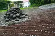W centrum Białegostoku stworzono fontannę tolerancji