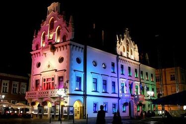 Rzeszowski ratusz został rozświetlony przez białostockich studentów