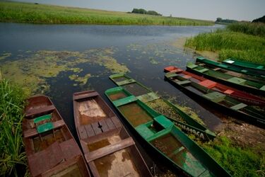 Plebiscyt na rzekę roku. Biebrza jest w finale 