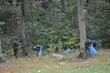 Akcja 