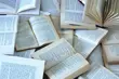Literacka akcja w przestrzeni miejskiej Białegostoku