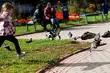 Budżet obywatelski. Z 51 inwestycji wybierzemy te, które zostaną zrealizowane