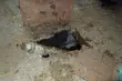 Tragiczny wypadek. Małżeństwo utonęło w szambie