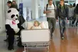 Pomóż chorym dzieciom. Akcja w galerii Alfa