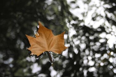 Pogoda na dziś: przelotne opady