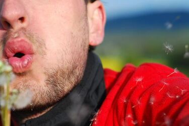 Alergicy mogą odetchnąć z ulgą. Rośliny już nie pylą