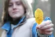Pogoda na długi weekend: pochmurnie z przelotnymi opadami