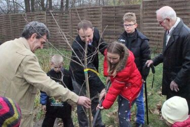 Łowca bramek w Kiermusach. Tomasz Frankowski ma swój dąb