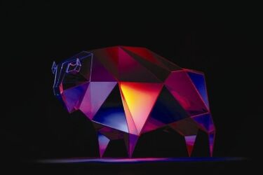 Festiwal ŻUBROFFKA hipnotyzuje nową oprawą wizualną [WIDEO]