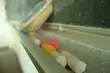 Wyzywali nauczycielkę matematyki. Nie usłyszeli wyroku
