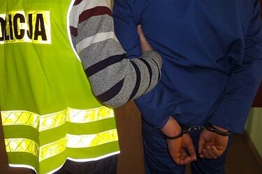 Legitymował i przeszukiwał ludzi. Fałszywy policjant trafił do aresztu