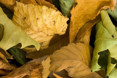 Pogoda na długi weekend: szaro i pochmurno