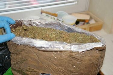 Białostoccy policjanci przejęli ponad 2 kg narkotyków