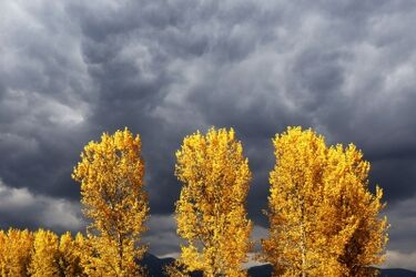 Pogoda na dziś: szaro i pochmurno