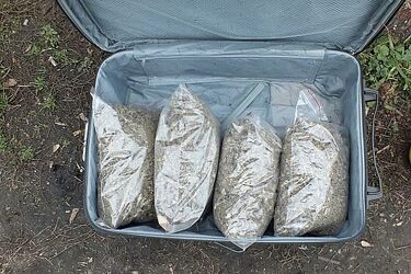 Miał blisko 12 kg narkotyków. 29-latek zatrzymany przez CBŚ