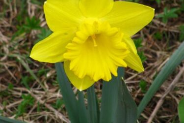 Dzień dobroczynności. Fundacja "Pomóż Im" organizuje szereg akcji